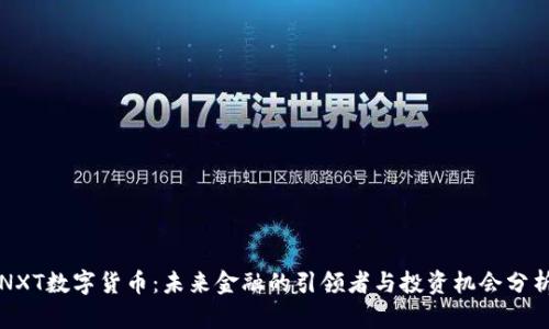 NXT数字货币：未来金融的引领者与投资机会分析
