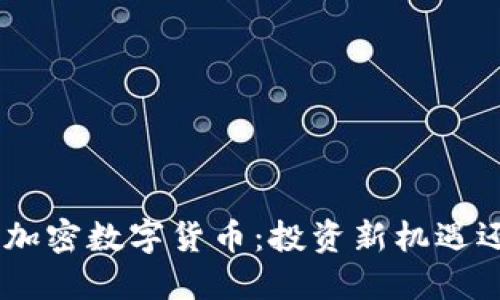 揭秘DGC加密数字货币：投资新机遇还是泡沫？
