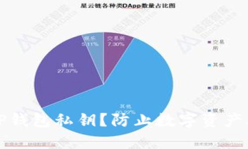 如何安全导入TP钱包私钥？防止数字资产丢失的实用指南