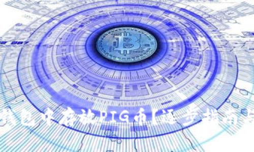 如何在TP钱包中存放PIG币？逐步指南与实用技巧