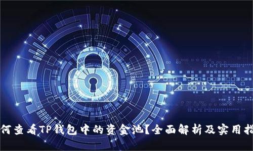 如何查看TP钱包中的资金池？全面解析及实用指南
