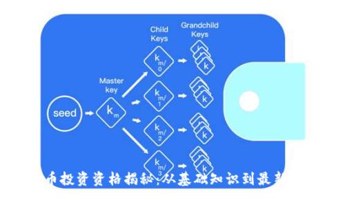 数字货币投资资格揭秘：从基础知识到最新政策解析